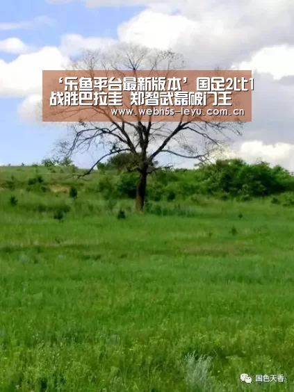 ‘乐鱼平台最新版本’国足2比1战胜巴拉圭 郑智武磊破门王大雷神奇扑救(图2) 乐鱼体育App下载