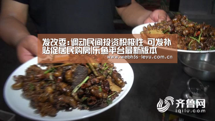 乐鱼平台最新版本