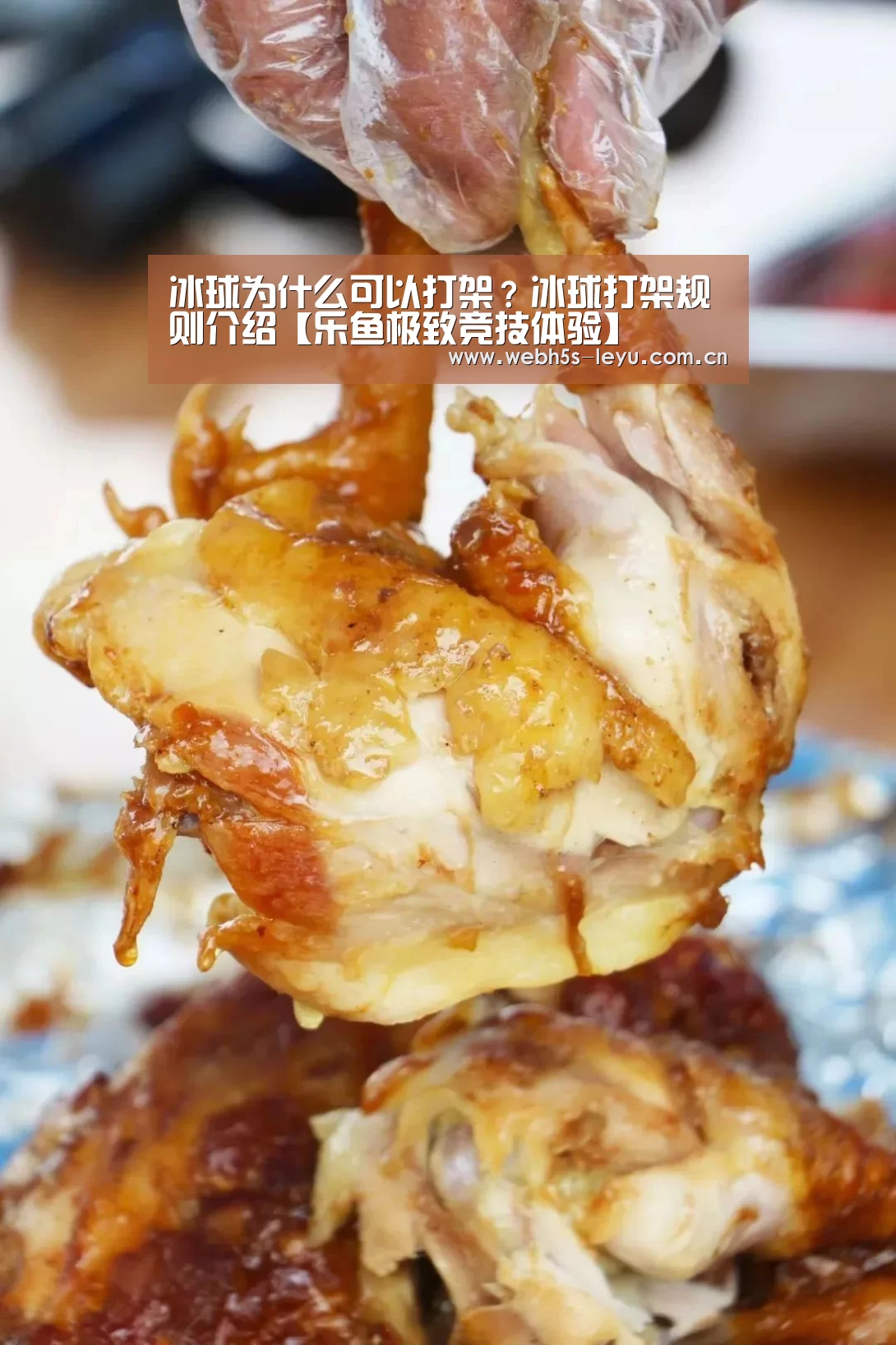 冰球为什么可以打架?冰球打架规则介绍【乐鱼极致竞技体验】(图1) 乐鱼官方网站地址