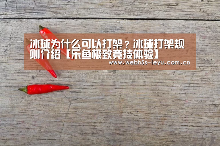 冰球为什么可以打架?冰球打架规则介绍【乐鱼极致竞技体验】(图3) 乐鱼平台最新版本