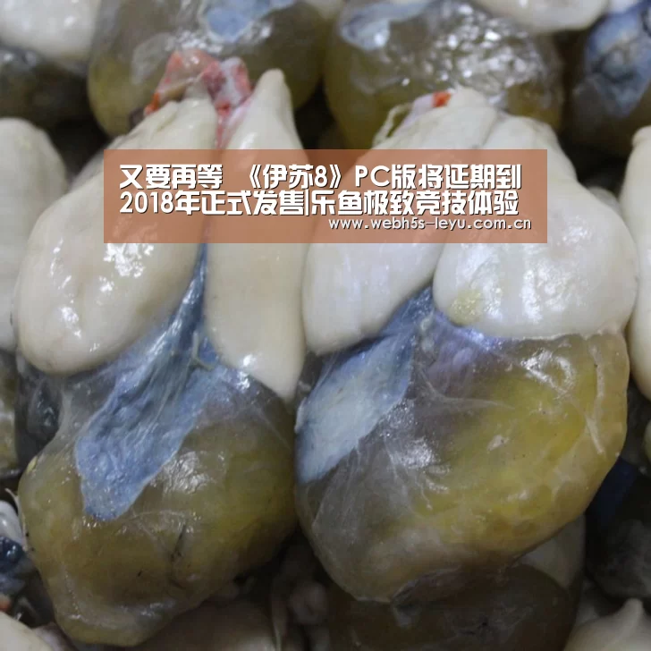 又要再等 《伊苏8》PC版将延期到2018年正式发售|乐鱼极致竞技体验(图1) 乐鱼官方网站地址